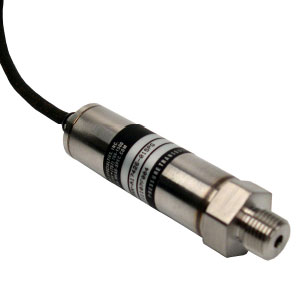 US300����������