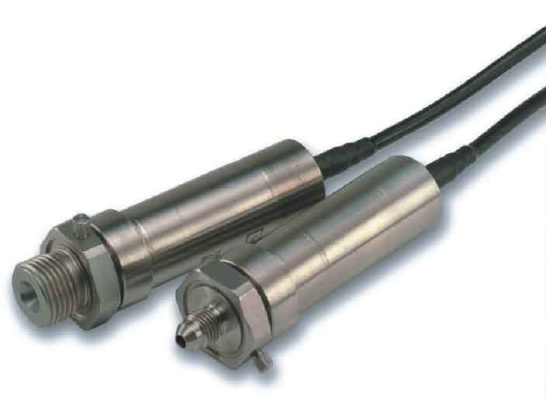 P981����������